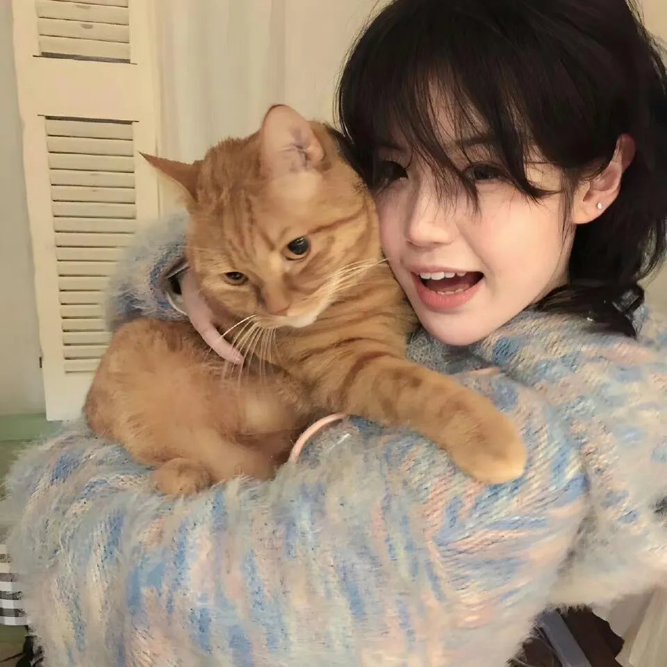 猛虎谷恩仇记